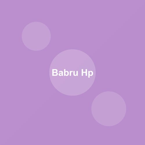 Traditional Babru dish from Himachal Pradesh, India — Authentic recipe from Eat By State