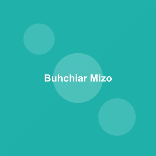 Traditional Mizo Pork Broth dish from Mizoram, India — Authentic recipe from Eat By State