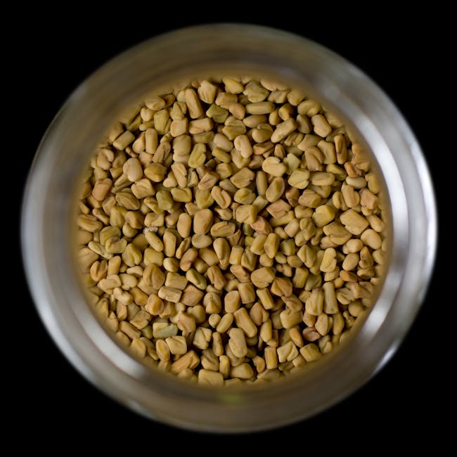 Traditional Methi Thepla dish from Gujarat, India — Authentic recipe from Eat By State